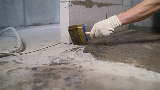 24/7 Emergency Crawl Space Encapsulation experts in Williamsburg, KY